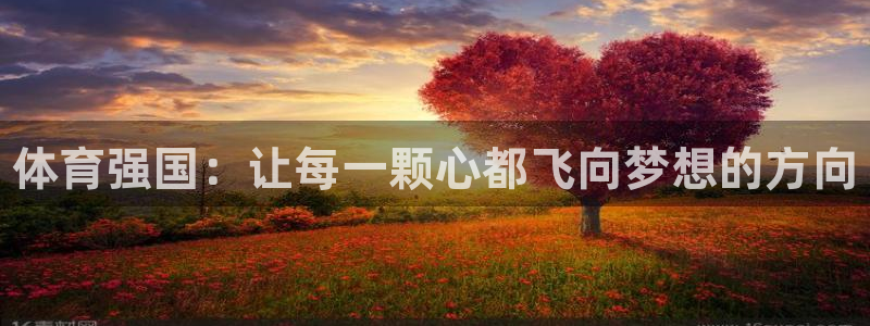 oety欧亿体育官网下载招商:体育强国:让每一颗心都飞向梦想