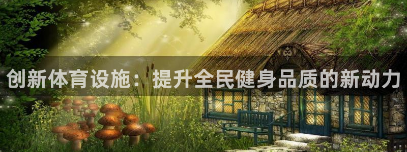 oety欧亿体育官网下载平台是正规平台吗:创新体育设施:提升