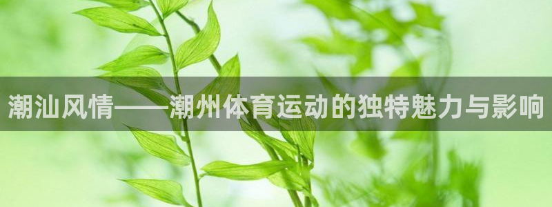 欧亿体育官方正版app神州:潮汕风情——潮州体育运动的独特魅